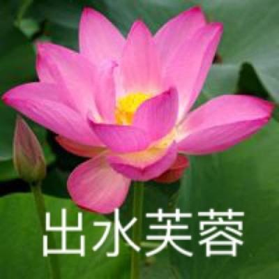 地球战争夺回地球的游戏下载